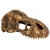 EXO TERRA T-Rex skull (czaszka dinozaura)