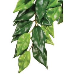 EXO TERRA roślina wisząca Fikus 45cm