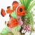 Yusee Dekoracja - Nemo 18x9x30cm