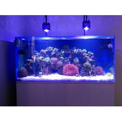 Nasze akwarium C